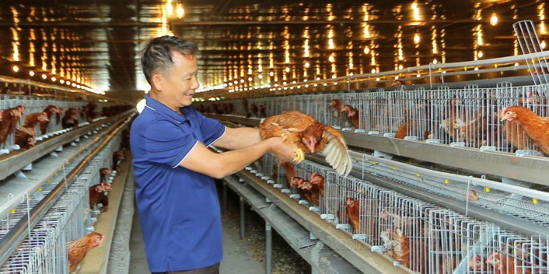 uu va nhuoc diem ga nau isa