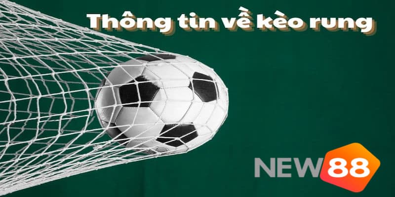 Kèo rung bóng đá - Chi tiết thông tin kèo rung là gì? 3 Tổng hợp một số hình thức kèo rung bóng đá phổ biến