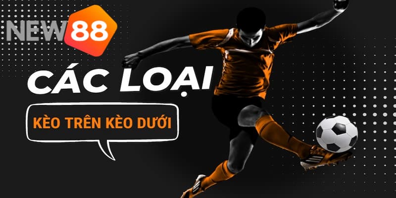 Khám phá về kèo trên kèo dưới là gì? Chi tiết cách đặt kèo 3 Kèo trên kèo dưới mang tỷ lệ chấp như thế nào?