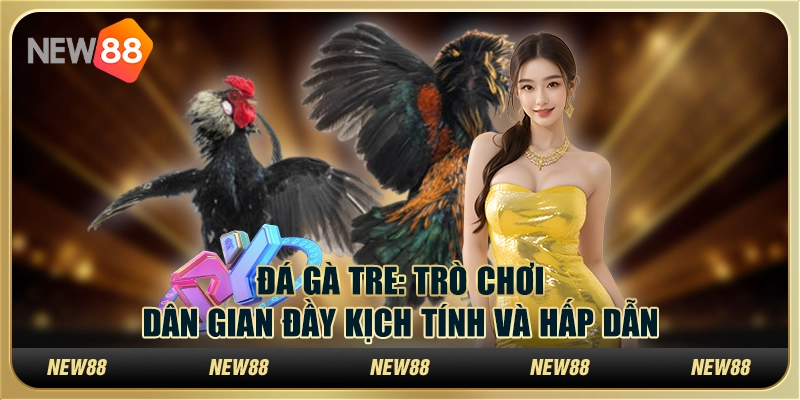 Đá gà tre: Trò chơi dân gian đầy kịch tính và hấp dẫn tại New88