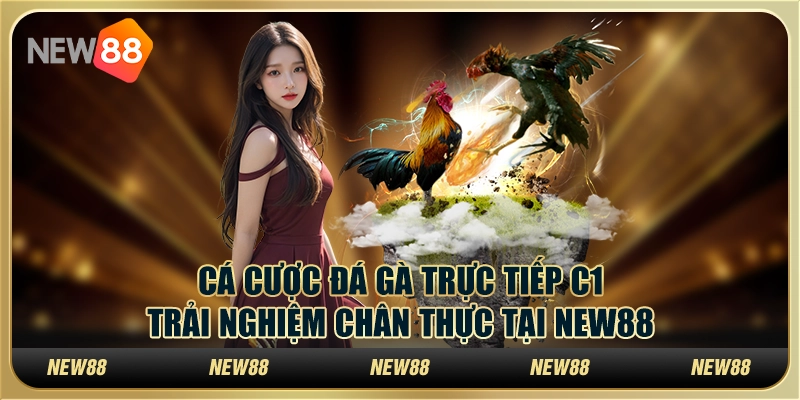 Cá cược đá gà trực tiếp C1: Trải nghiệm chân thực tại New88 1 Cá cược đá gà trực tiếp C1: Trải nghiệm chân thực tại New88