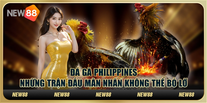 Đá gà Philippines: Những trận đấu mãn nhãn không thể bỏ lỡ