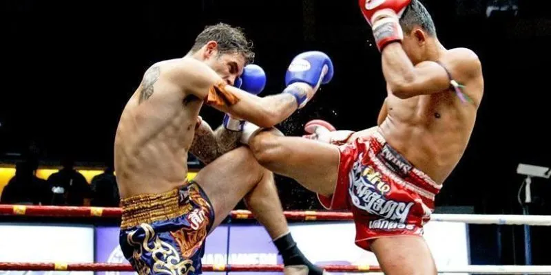 Giới thiệu đôi nét về cá cược quyền anh