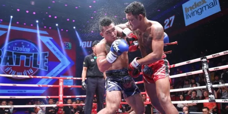 Hướng dẫn cách dự đoán kết quả cá cược chính xác