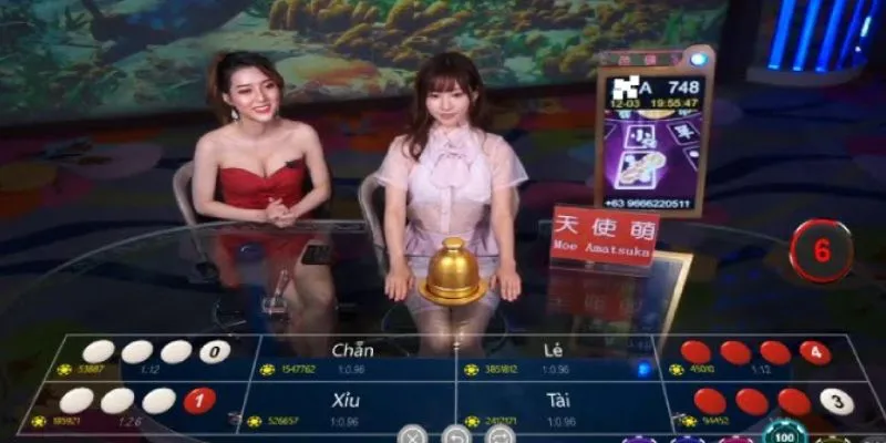 Live Xóc Đĩa: Trải nghiệm cá cược trực tuyến chân thực từng giây 3 Khám phá tỷ lệ trả thưởng của từng cửa cược trong live xóc đĩa