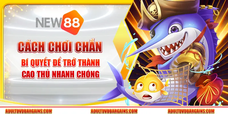 Cách chơi chắn - Bí quyết để trở thành cao thủ nhanh chóng 1 Cách chơi chắn - Bí quyết để trở thành cao thủ nhanh chóng