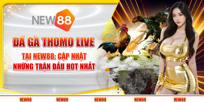 Đá gà Thomo live tại New88: Cập nhật những trận đấu hot nhất
