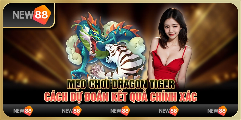 Mẹo chơi Dragon Tiger - Cách dự đoán kết quả chính xác 7 Mẹo chơi Dragon Tiger - Cách dự đoán kết quả chính xác
