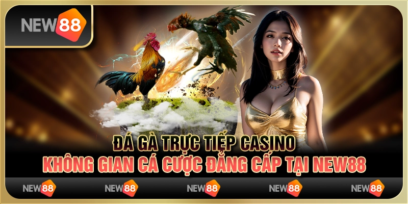 Đá gà trực tiếp casino - Không gian cá cược đẳng cấp tại New88