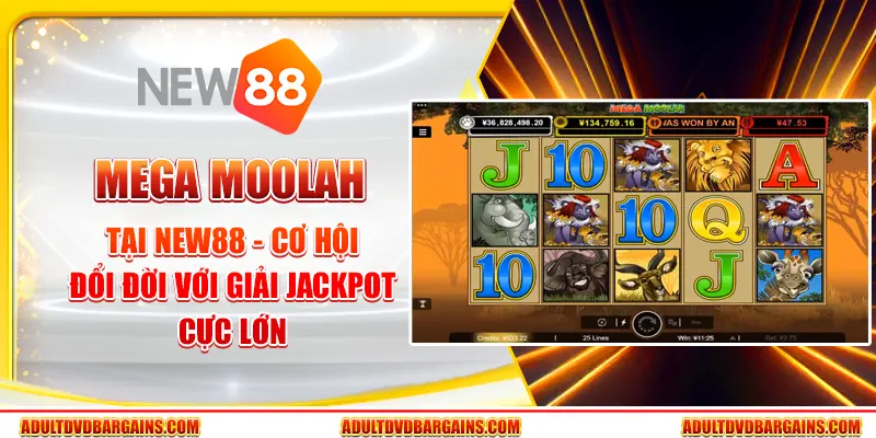 Mega Moolah tại New88 - Cơ hội đổi đời với giải Jackpot cực lớn
