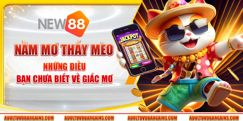 Nằm mơ thấy mèo - Những điều bạn chưa biết về giấc mơ 5 Nằm mơ thấy mèo - Những điều bạn chưa biết về giấc mơ