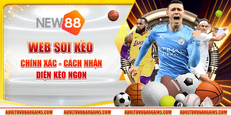 Web soi kèo chính xác New88 - Cách nhận diện kèo ngon 4 Web soi kèo chính xác New88 - Cách nhận diện kèo ngon