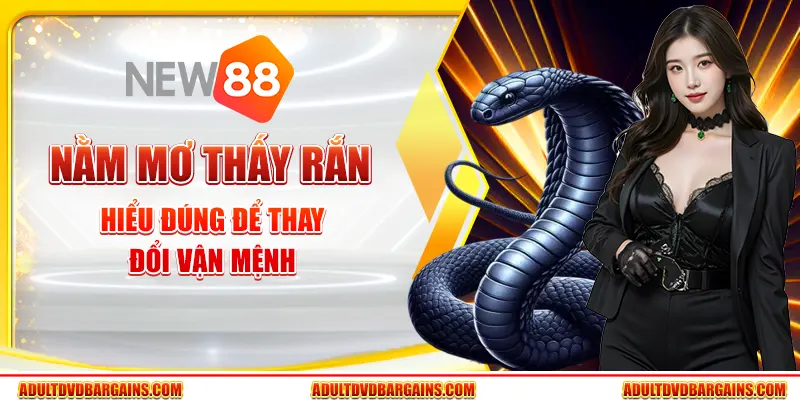 Nằm mơ thấy rắn - Hiểu đúng để thay đổi vận mệnh 4 Nằm mơ thấy rắn - Hiểu đúng để thay đổi vận mệnh