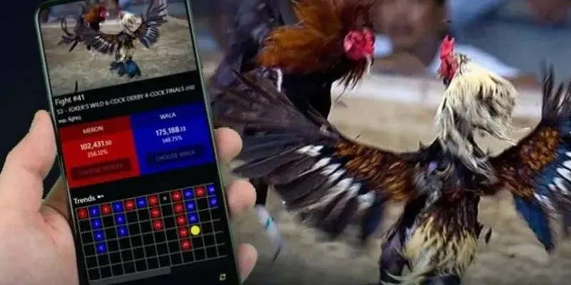 Đá gà Campuchia trực tiếp tại New88 - Sôi động từng trận đấu 4 Kinh nghiệm cá cược đá gà hiệu quả tại New88