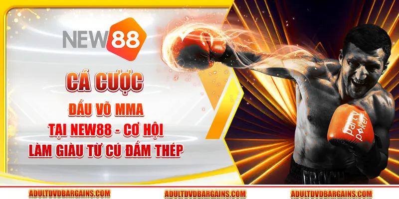 Cá cược đấu võ MMA tại New88 - Cơ hội làm giàu từ cú đấm thép