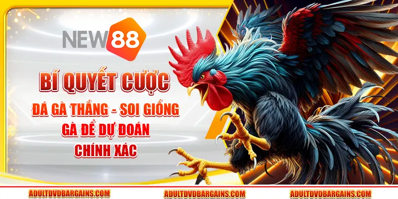Bí quyết cược đá gà thắng - Soi giống gà để dự đoán chính xác 1 Bí quyết cược đá gà thắng - Soi giống gà để dự đoán chính xác