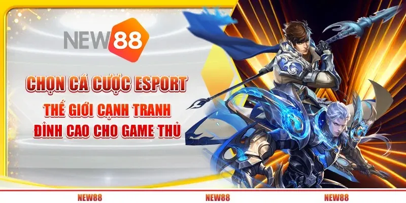 2 chon ca cuoc esport – the gioi canh tranh dinh cao cho game thu 2 2