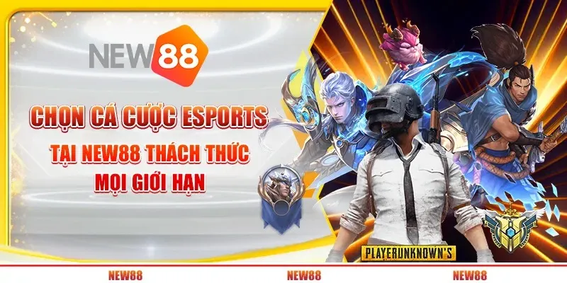 4 chon ca cuoc esports tai new88 – thach thuc moi gioi han 4 4