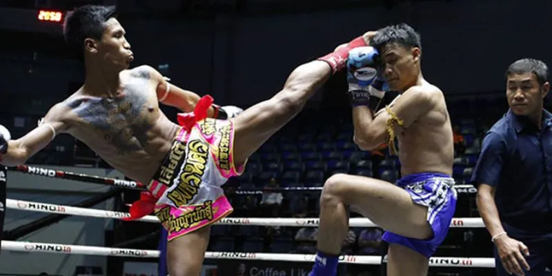 Tổng quan về cá cược đấu võ MMA tại New88