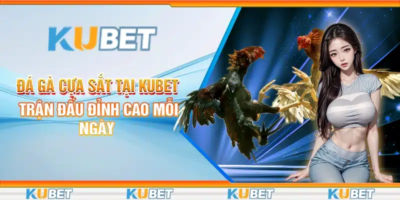 Đá Gà Cựa Sắt Tại Kubet - Trận Đấu Đỉnh Cao Mỗi Ngày
