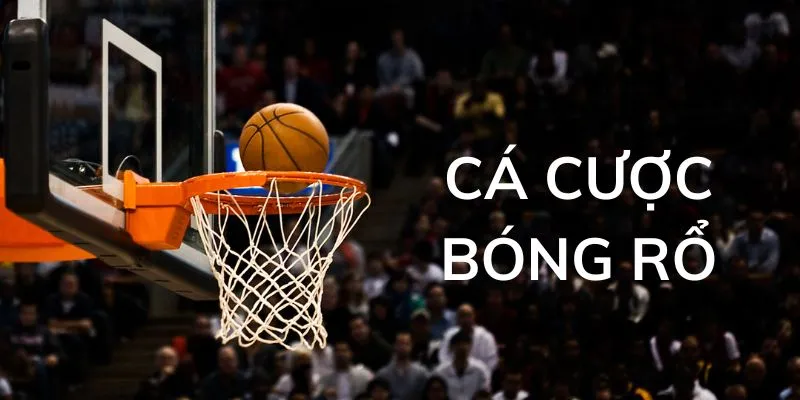 Phòng ngự là một phần quan trọng của bóng rổ