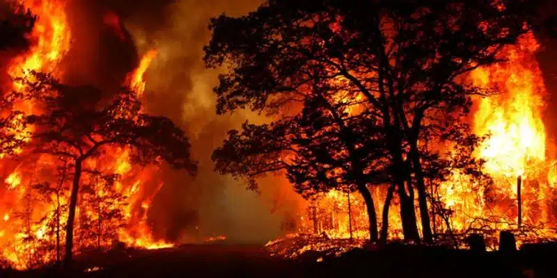 Nằm mơ thấy lửa - Con số lô đề may mắn bạn nên thử 3 Ý nghĩa khi mơ thấy mình bị lửa đốt