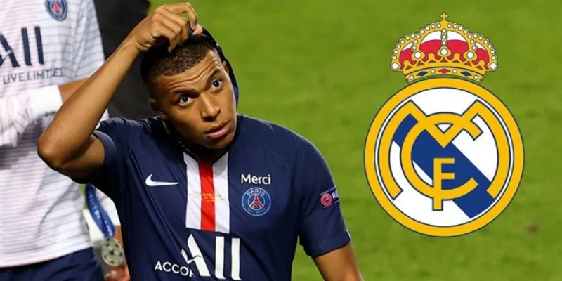 Những nội dung quan trọng mà bạn cần nắm rõ khi cá cược