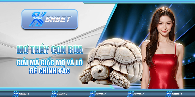 Mơ Thấy Con Rùa - Giải Mã Giấc Mơ Và Lô Đề Chính Xác