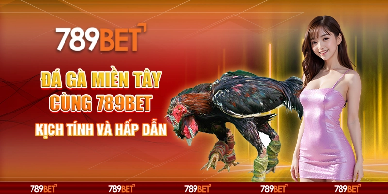 Đá Gà Miền Tây Cùng 789Bet Kịch Tính Và Hấp Dẫn 5 Đá Gà Miền Tây