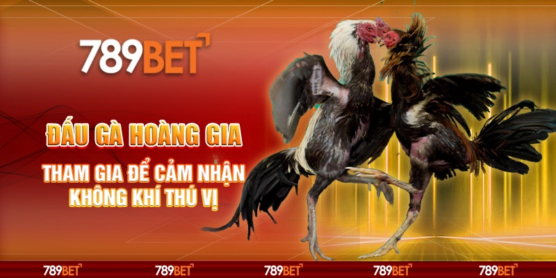 Đấu gà Hoàng Gia