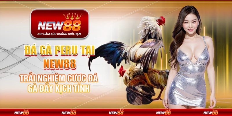 Đá gà Peru tại New88 - Trải nghiệm cược đá gà đầy kịch tính