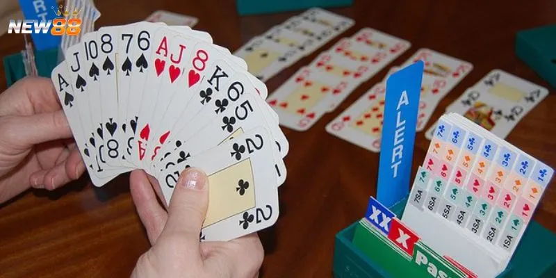 Bài Bridge tại New88 - Luật chơi cơ bản cần nắm vững 4 Thủ thuật chơi Bridge từ những cao thủ