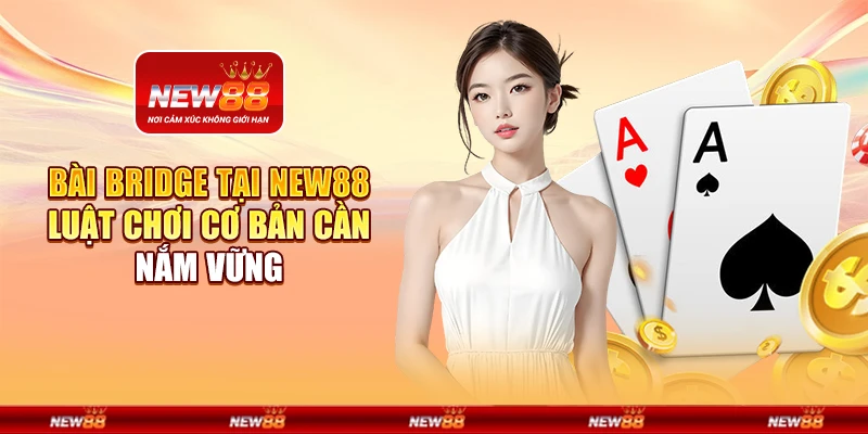 Bài Bridge tại New88 - Luật chơi cơ bản cần nắm vững