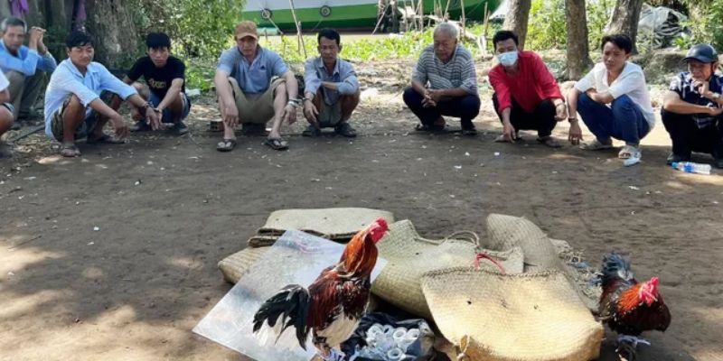 Được tổ chức bài bản