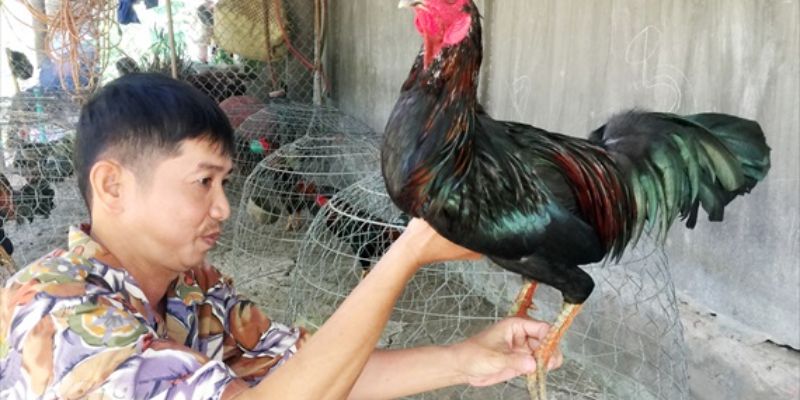 Đa dạng hình thức thi đấu