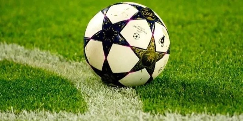 Học tập kinh nghiệm từ các chuyên gia