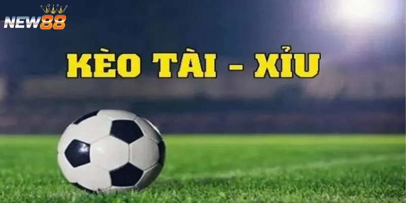 Mẹo chơi kèo tài xỉu - Chiến thuật vào tiền hiệu quả nhất 3 Tìm hiểu cách đọc kèo tài xỉu và ý nghĩa