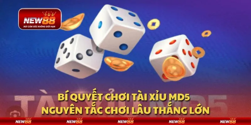 Bí quyết chơi tài xỉu MD5 - Nguyên tắc chơi lâu thắng lớn 7 Bí quyết chơi tài xỉu MD5 - Nguyên tắc chơi lâu thắng lớn
