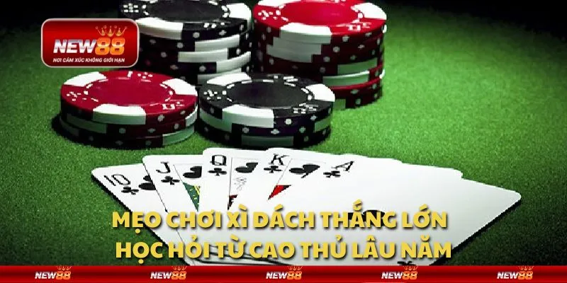 Mẹo chơi xì dách thắng lớn - Học hỏi từ cao thủ lâu năm 1 Mẹo chơi xì dách thắng lớn - Học hỏi từ cao thủ lâu năm