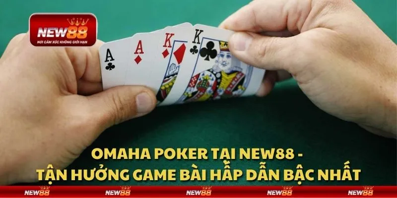 Omaha Poker tại New88 - Tận hưởng game bài hấp dẫn bậc nhất