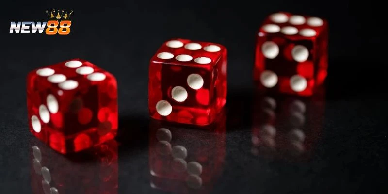 Hướng dẫn cách đoán tài xỉu xí ngầu chính xác