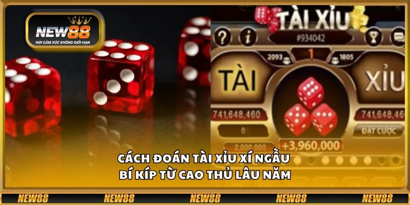 Cách đoán tài xỉu xí ngầu - Bí kíp từ cao thủ lâu năm