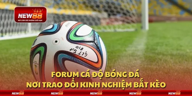 Forum cá độ bóng đá - Nơi trao đổi kinh nghiệm bắt kèo