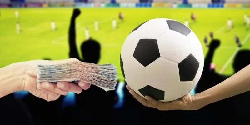 Meok áp dụng luật cá độ an toàn