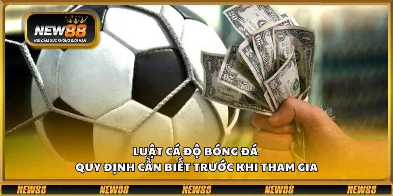 Luật cá độ bóng đá - Quy định cần biết trước khi tham gia