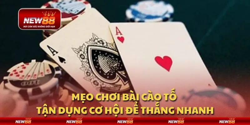 Mẹo chơi bài cào tố - Tận dụng cơ hội để thắng nhanh