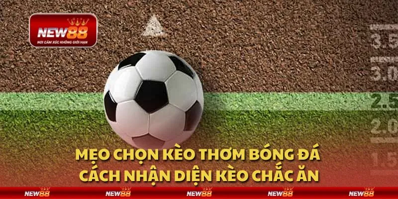 Mẹo chọn kèo thơm bóng đá - Cách nhận diện kèo chắc ăn 1 Mẹo chọn kèo thơm bóng đá - Cách nhận diện kèo chắc ăn