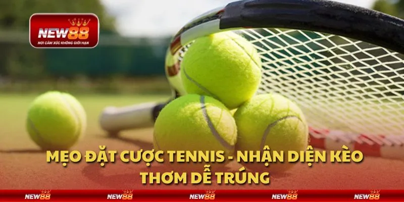 Mẹo đặt cược tennis - Nhận diện kèo thơm dễ trúng