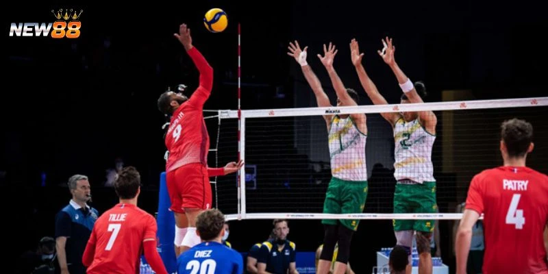 Các loại kèo cược thịnh hành trong bóng chuyền