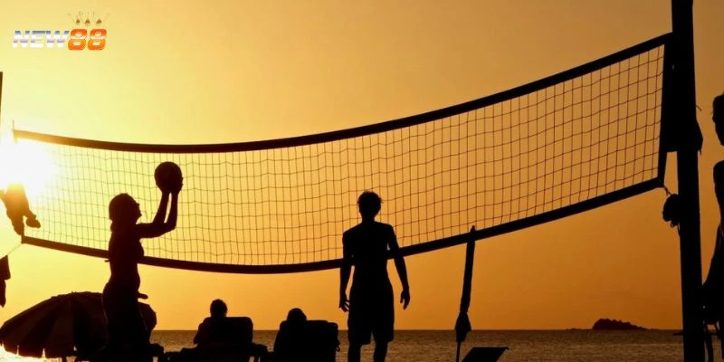 Những sai lầm khi soi kèo bóng chuyền